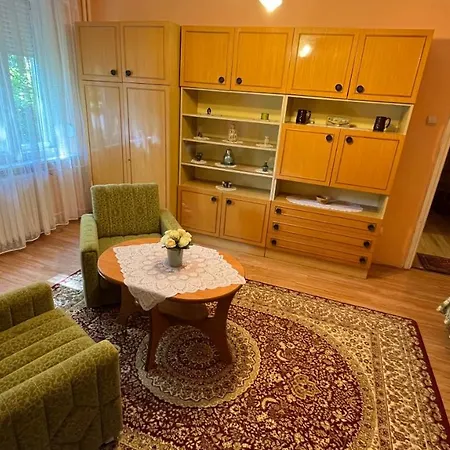 Vica Apartment *