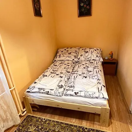 Vica Tiszaujvaros