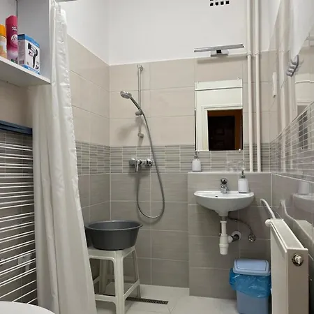 Apartment Vica